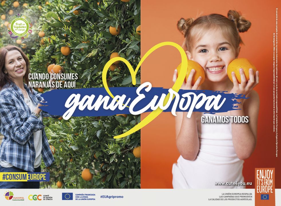<p><strong>NARANJAS Gráfica GRANDE</strong></p>