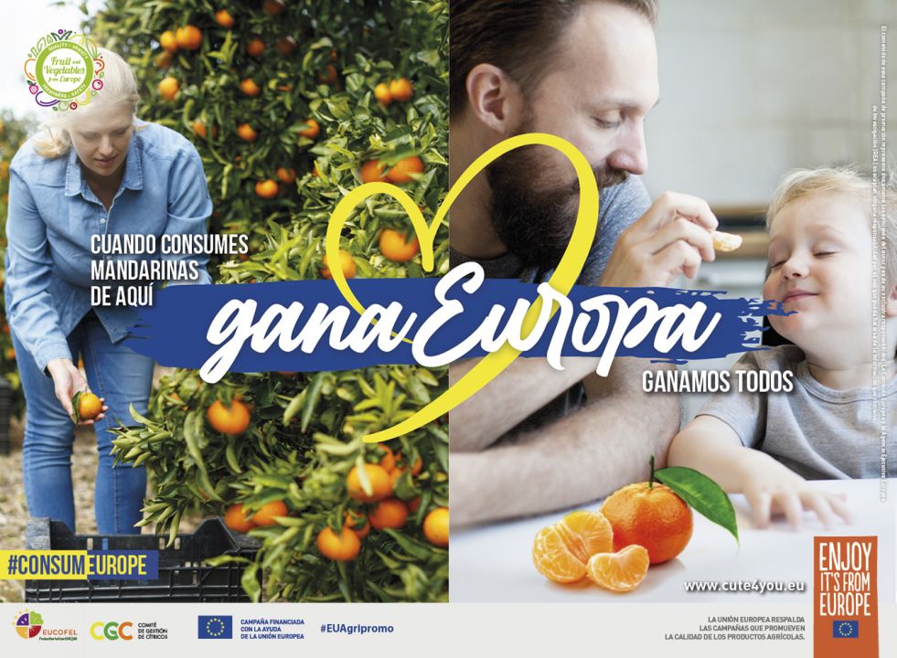 <p><strong>MANDARINAS Gráfica GRANDE</strong></p>