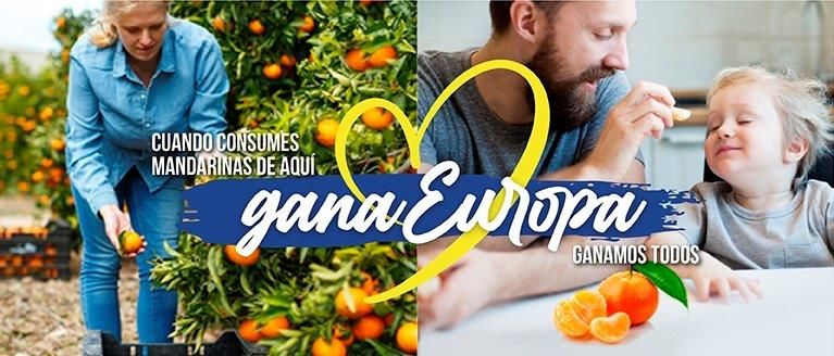 <p><strong>MANDARINAS FIRMA MAIL</strong></p>